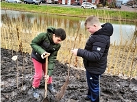 Foto bij artikel We hebben Naaldwijk een stukje groener gemaakt.