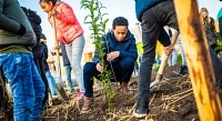 Foto bij artikel Plantdag Tiny Forest